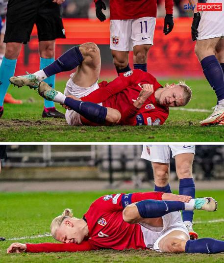 果断